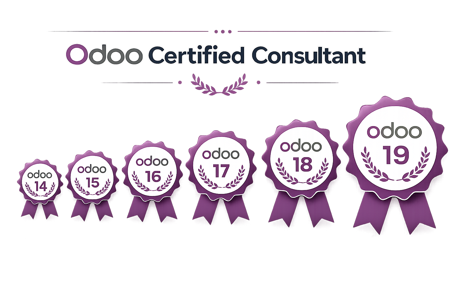 Odoo Certified
