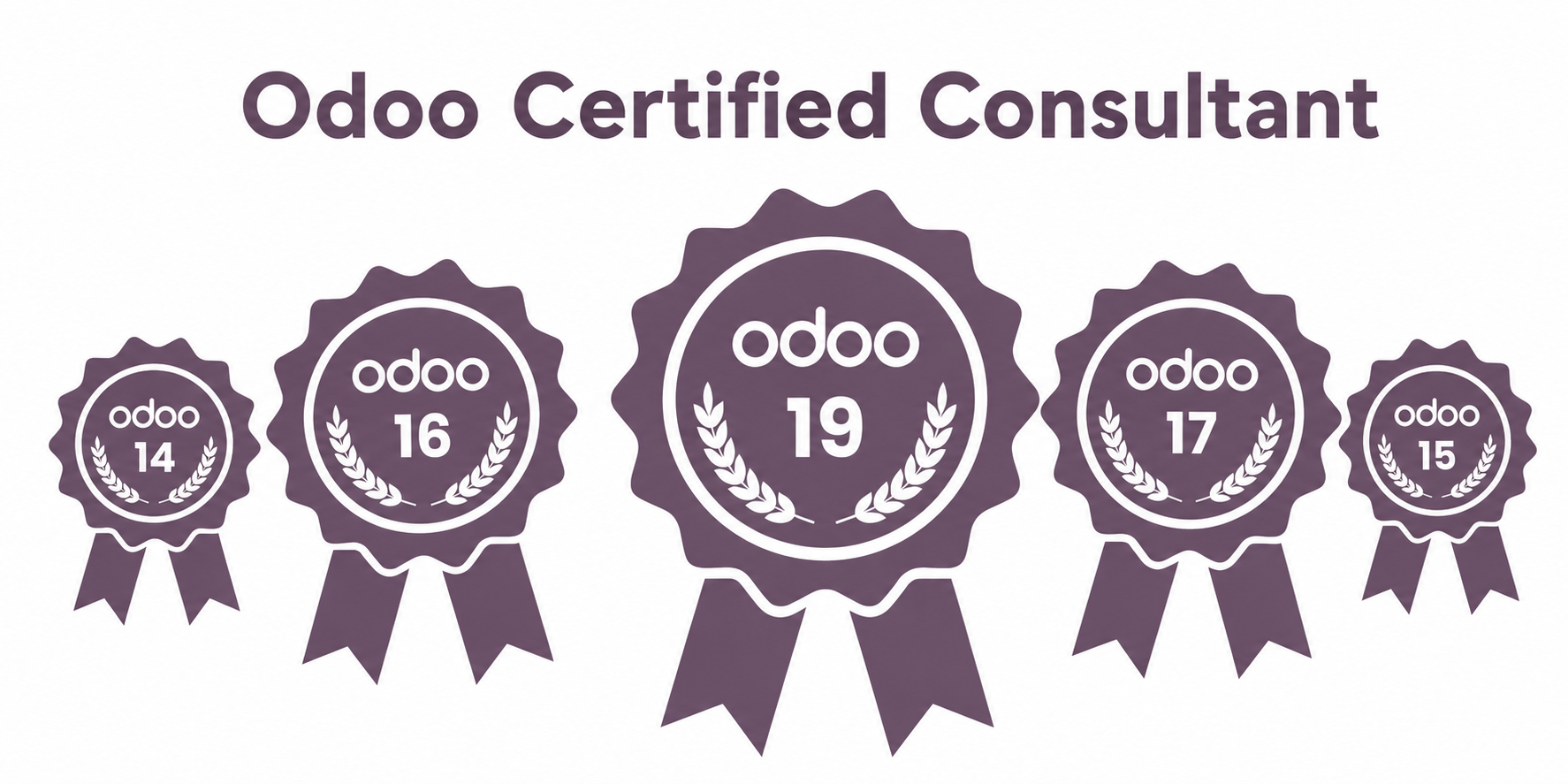 Odoo Certified